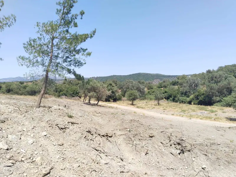 İlan Görseli https://cdn.ilanlar.com/images/l1/l2/{width}/{height}/30005653_1763663499061393273.jpg