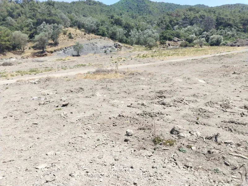 İlan Görseli https://cdn.ilanlar.com/images/l1/l2/{width}/{height}/30005653_1763663505405381191.jpg