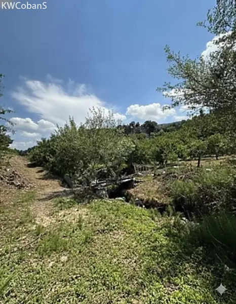 İlan Görseli https://cdn.ilanlar.com/images/l1/l2/{width}/{height}/30005655_1763664599019124039.png