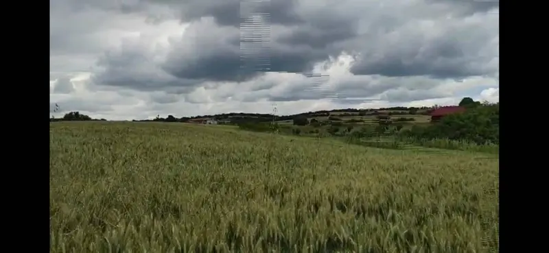 İlan Görseli https://cdn.ilanlar.com/images/l1/l2/{width}/{height}/30005665_1763667594825161619.jpg