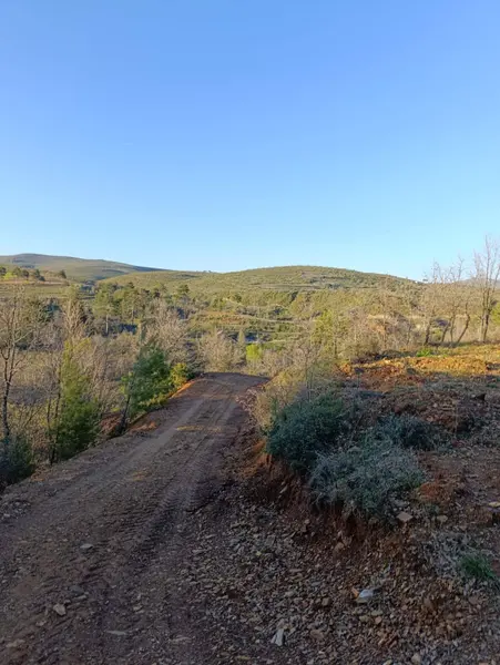 İlan Görseli https://cdn.ilanlar.com/images/l1/l2/{width}/{height}/30005706_1763748312782777508.jpg