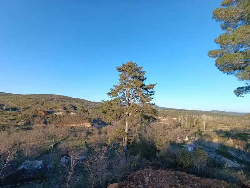 İlan Görseli https://cdn.ilanlar.com/images/l1/l2/{width}/{height}/30005706_1763748313969922724.jpg