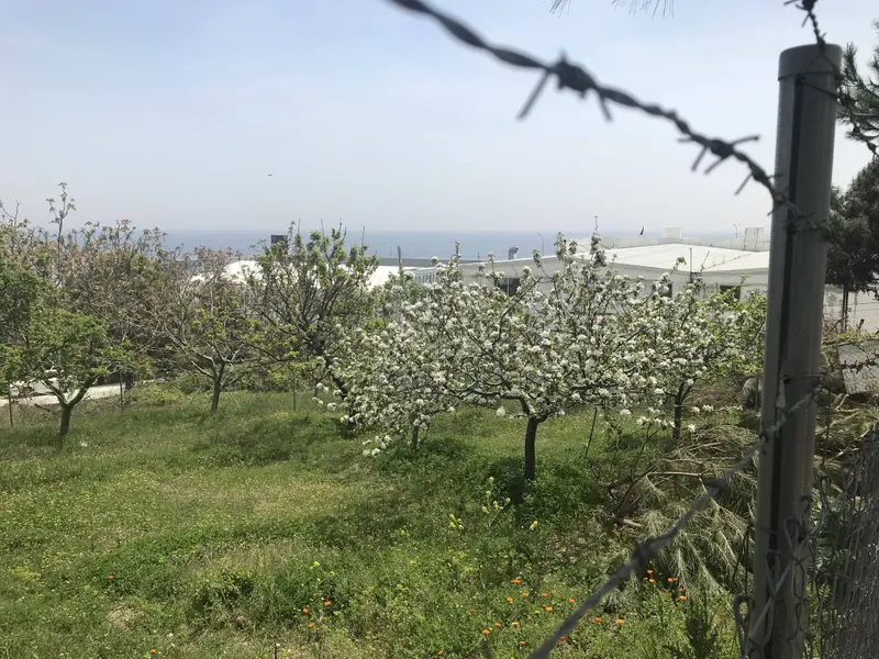 İlan Görseli 2