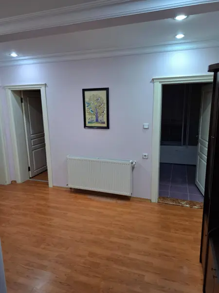 İlan Görseli https://cdn.ilanlar.com/images/l1/l2/{width}/{height}/30005733_1763830351603395784.jpg