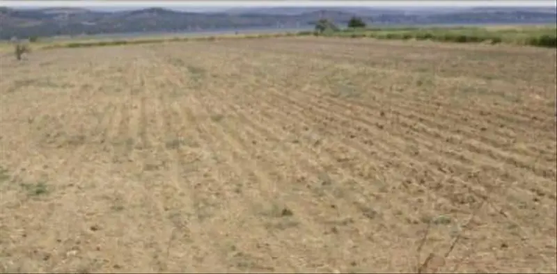 İlan Görseli https://cdn.ilanlar.com/images/l1/l2/{width}/{height}/30005766_1763930825498621395.jpg