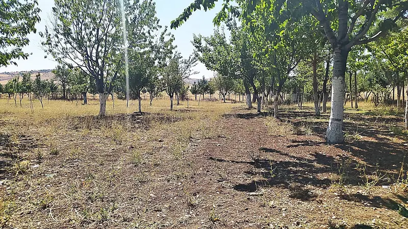 İlan Görseli https://cdn.ilanlar.com/images/l1/l2/{width}/{height}/30005772_1763973563231230390.jpg