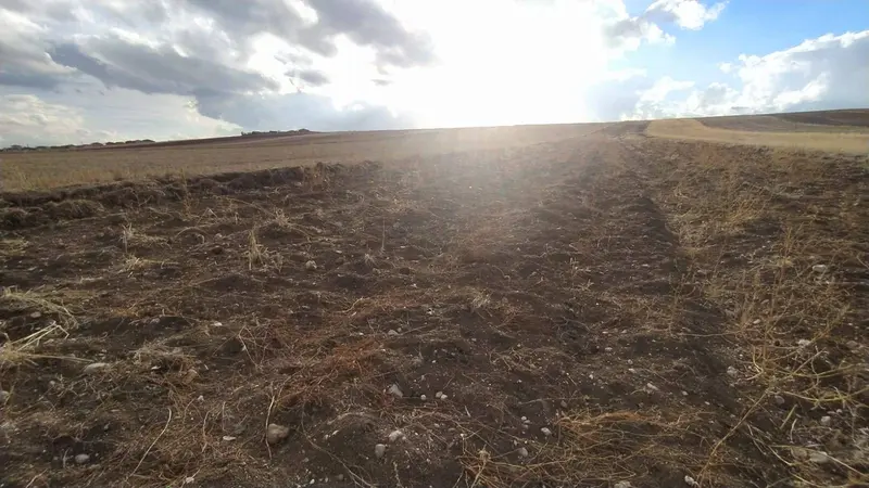 İlan Görseli https://cdn.ilanlar.com/images/l1/l2/{width}/{height}/30005773_1763974292063097925.jpg