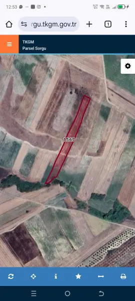 İlan Görseli https://cdn.ilanlar.com/images/l1/l2/{width}/{height}/30005859_1764153802333063214.jpg