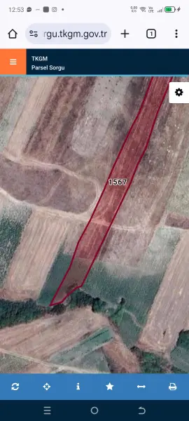 İlan Görseli https://cdn.ilanlar.com/images/l1/l2/{width}/{height}/30005859_1764153803054378179.jpg