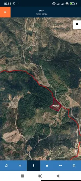 İlan Görseli https://cdn.ilanlar.com/images/l1/l2/{width}/{height}/30005889_1764250305900354732.jpg