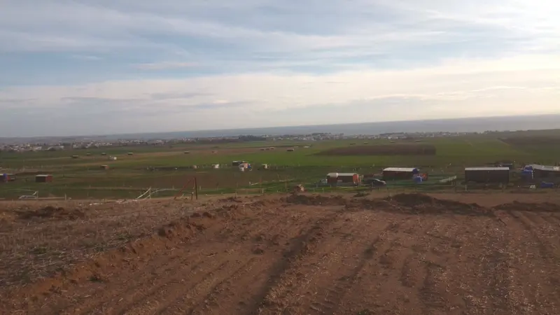 İlan Görseli https://cdn.ilanlar.com/images/l1/l2/{width}/{height}/30005914_1764359953839652281.jpg