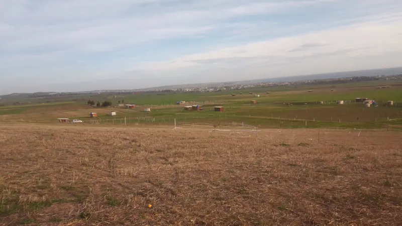 İlan Görseli https://cdn.ilanlar.com/images/l1/l2/{width}/{height}/30005914_1764359956101409539.jpg