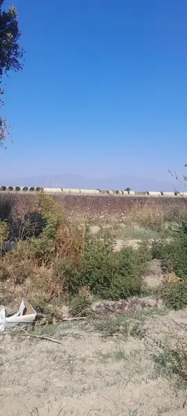 İlan Görseli 2