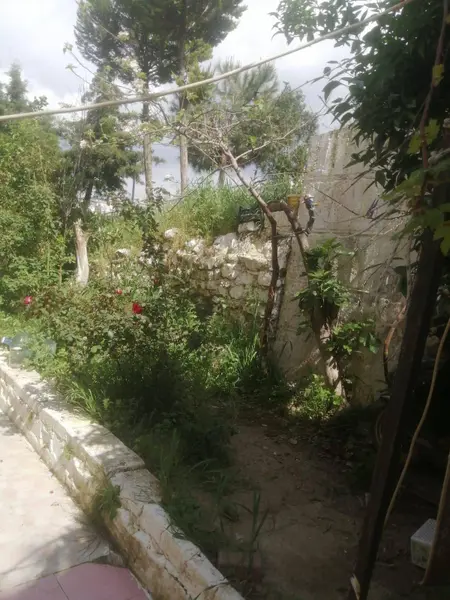 İlan Görseli https://cdn.ilanlar.com/images/l1/l2/{width}/{height}/30005974_1764519049893882094.jpg