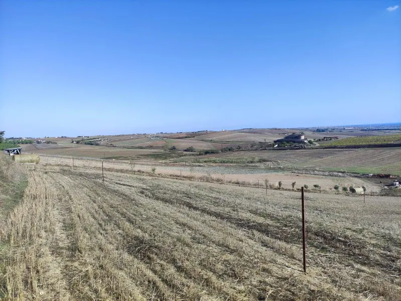 İlan Görseli https://cdn.ilanlar.com/images/l1/l2/{width}/{height}/30006058_1764757008187575746.jpg