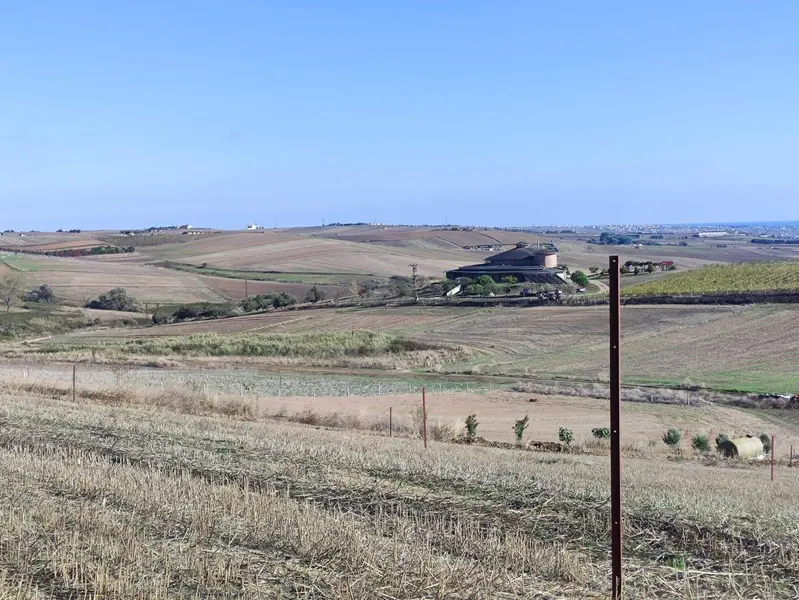 İlan Görseli https://cdn.ilanlar.com/images/l1/l2/{width}/{height}/30006058_1764757009079414807.jpg