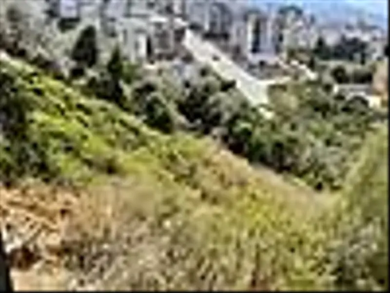 İlan Görseli https://cdn.ilanlar.com/images/l1/l2/{width}/{height}/30006109_1764854900671669757.jpg