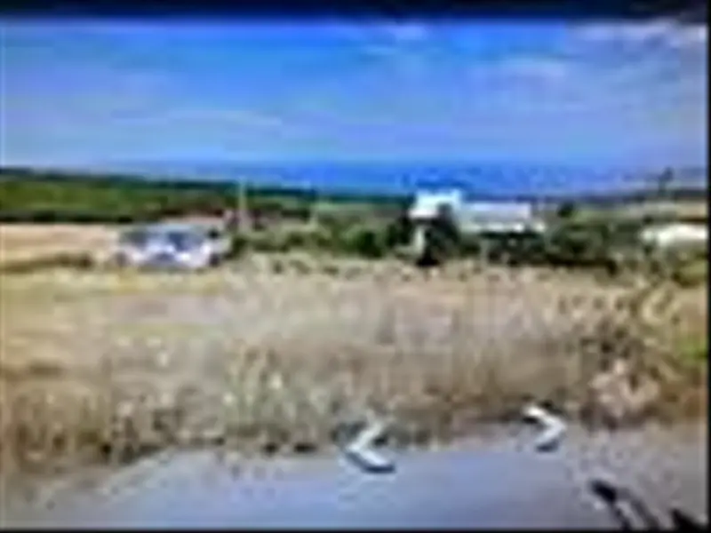 İlan Görseli https://cdn.ilanlar.com/images/l1/l2/{width}/{height}/30006114_1764856598144371870.jpg