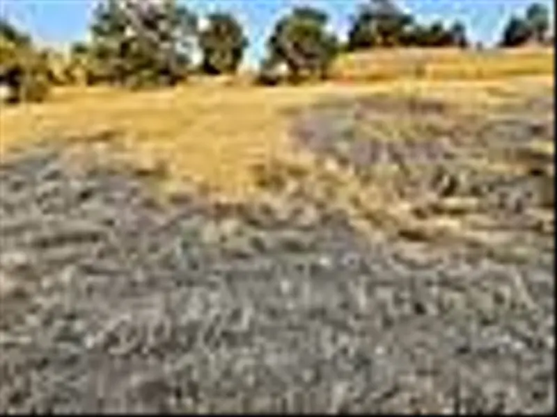 İlan Görseli https://cdn.ilanlar.com/images/l1/l2/{width}/{height}/30006116_1764857363010296350.jpg