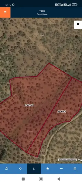 İlan Görseli https://cdn.ilanlar.com/images/l1/l2/{width}/{height}/30006132_1764873431330638962.jpg