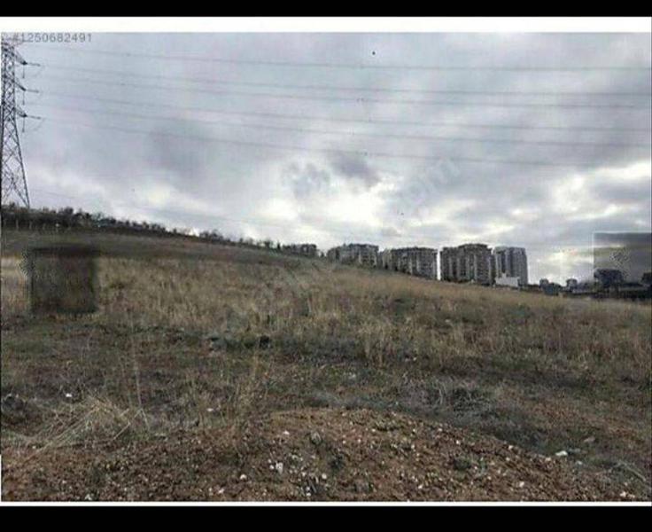 İlan Görseli https://cdn.ilanlar.com/images/l1/l2/{width}/{height}/30006143_1764886438146738347.jpg