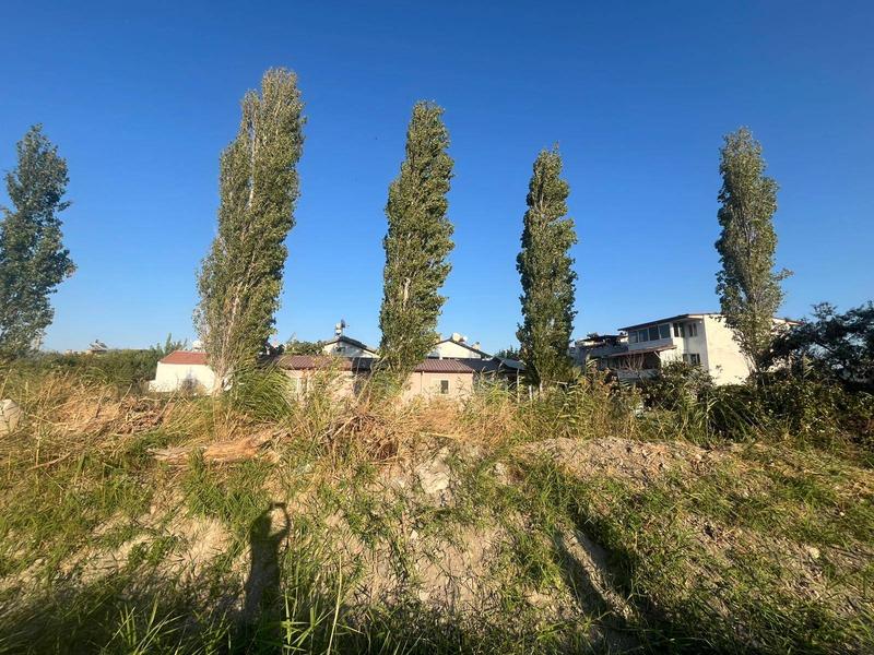 İlan Görseli https://cdn.ilanlar.com/images/l1/l2/{width}/{height}/30006204_1765015445922032260.jpg