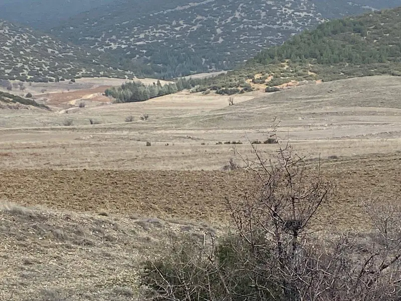 İlan Görseli https://cdn.ilanlar.com/images/l1/l2/{width}/{height}/30006240_1765108480701901994.jpg