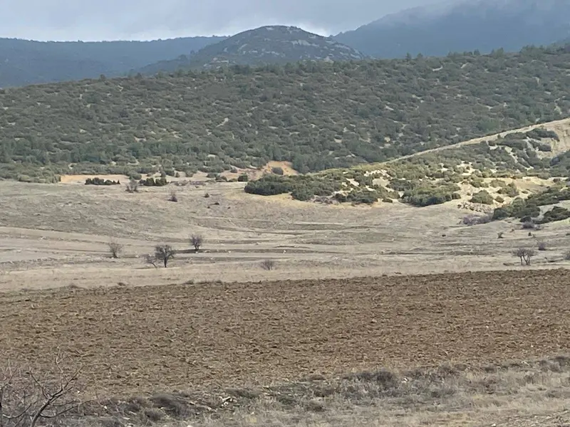 İlan Görseli https://cdn.ilanlar.com/images/l1/l2/{width}/{height}/30006240_1765108481282168420.jpg