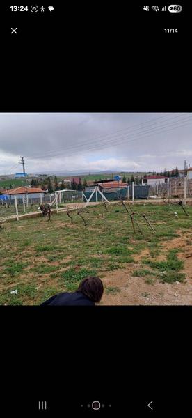 İlan Görseli https://cdn.ilanlar.com/images/l1/l2/{width}/{height}/30006357_1765871343667269709.jpg