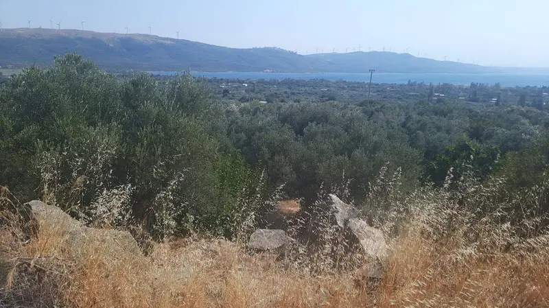 İlan Görseli 3