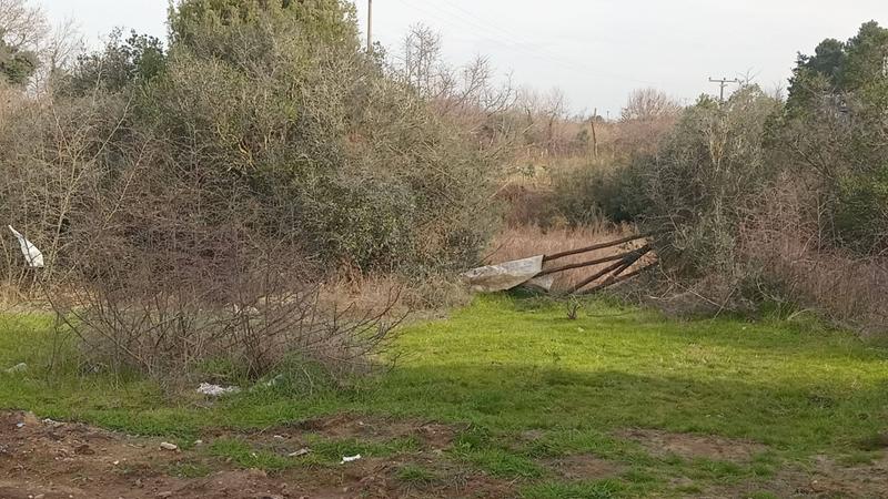 İlan Görseli https://cdn.ilanlar.com/images/l1/l2/{width}/{height}/30006435_1765553697736043113.jpg