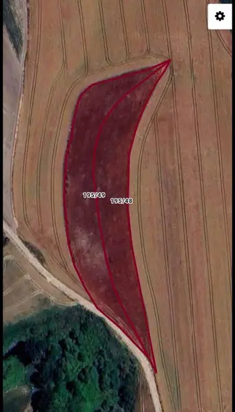 İlan Görseli https://cdn.ilanlar.com/images/l1/l2/{width}/{height}/30006441_1765574091136909233.jpg