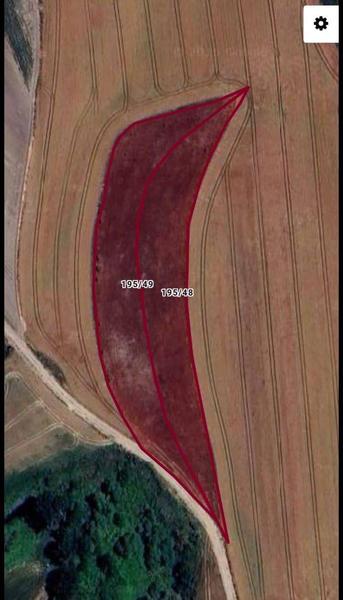 İlan Görseli https://cdn.ilanlar.com/images/l1/l2/{width}/{height}/30006441_1765574091136909233.jpg