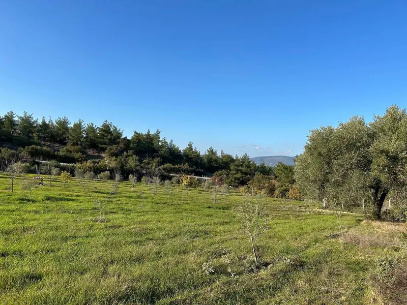 İlan Görseli 2