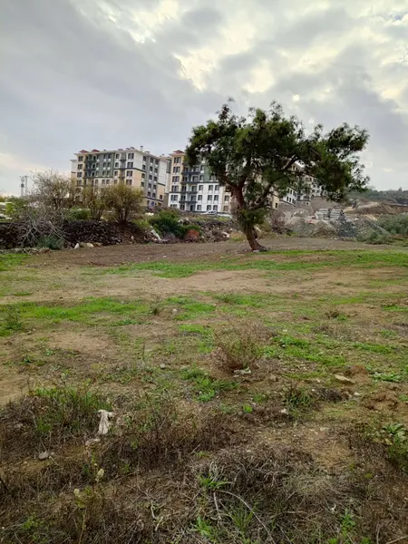 İlan Görseli https://cdn.ilanlar.com/images/l1/l2/{width}/{height}/30006564_1765957758273138565.jpg