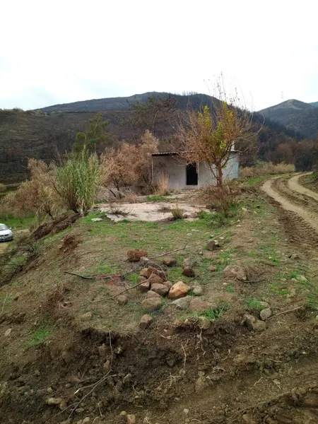 İlan Görseli https://cdn.ilanlar.com/images/l1/l2/{width}/{height}/30006568_1765965713605325562.jpg