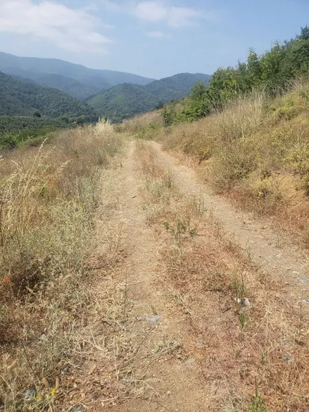 İlan Görseli 2