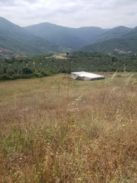 İlan Görseli 3