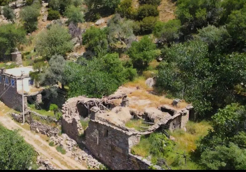 İlan Görseli https://cdn.ilanlar.com/images/l1/l2/{width}/{height}/30006596_1766053587413724922.jpg