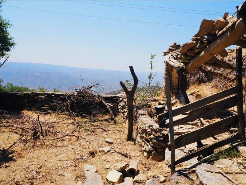 İlan Görseli https://cdn.ilanlar.com/images/l1/l2/{width}/{height}/30006596_1766053587983784174.jpg