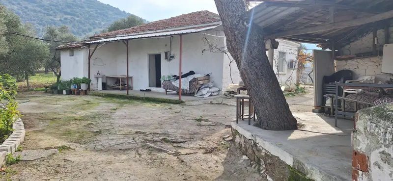 İlan Görseli https://cdn.ilanlar.com/images/l1/l2/{width}/{height}/30006708_1766342259013974535.jpg