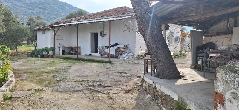 İlan Görseli https://cdn.ilanlar.com/images/l1/l2/{width}/{height}/30006708_1766342259013974535.jpg