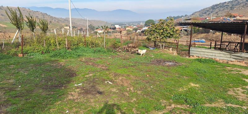 İlan Görseli https://cdn.ilanlar.com/images/l1/l2/{width}/{height}/30006708_1766342264698327045.jpg