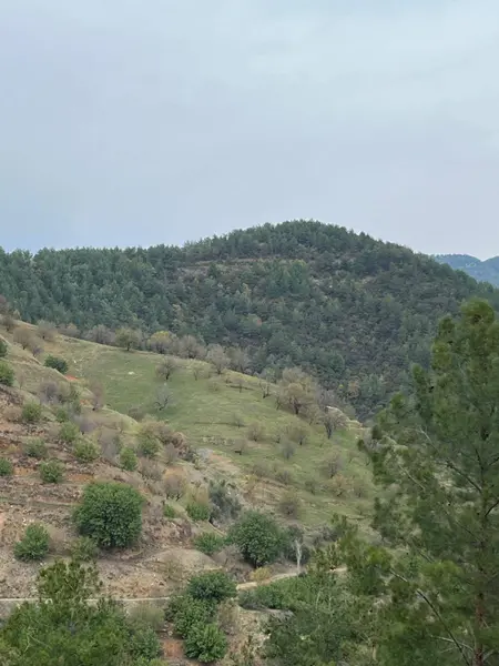 İlan Görseli 2