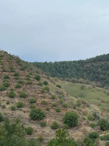 İlan Görseli 3
