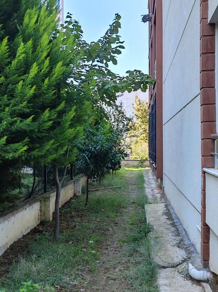 İlan Görseli https://cdn.ilanlar.com/images/l1/l2/{width}/{height}/30006742_1766490467521730197.jpg