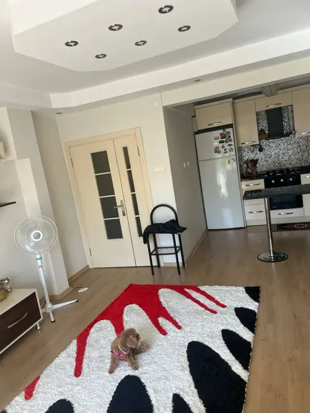 İlan Görseli https://cdn.ilanlar.com/images/l1/l2/{width}/{height}/30006776_1766586573412753667.jpg