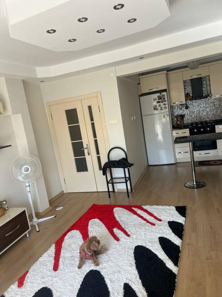 İlan Görseli https://cdn.ilanlar.com/images/l1/l2/{width}/{height}/30006776_1766586573412753667.jpg