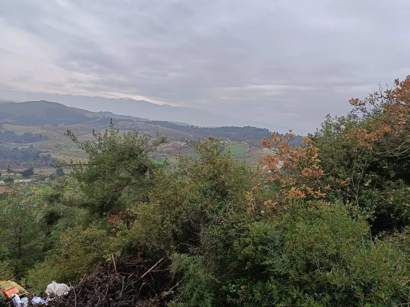 İlan Görseli https://cdn.ilanlar.com/images/l1/l2/{width}/{height}/30006793_1766655018365012262.jpg