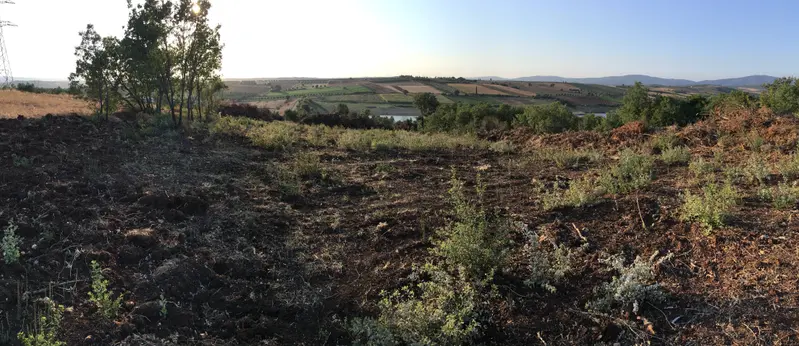 İlan Görseli 2